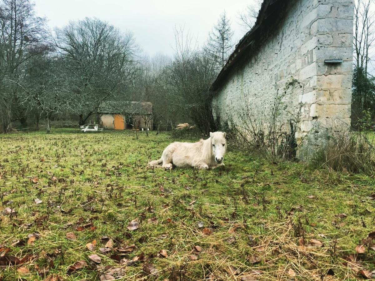 Parc De Lesseps Bed & Breakfast Meunet-Planches Bagian luar foto